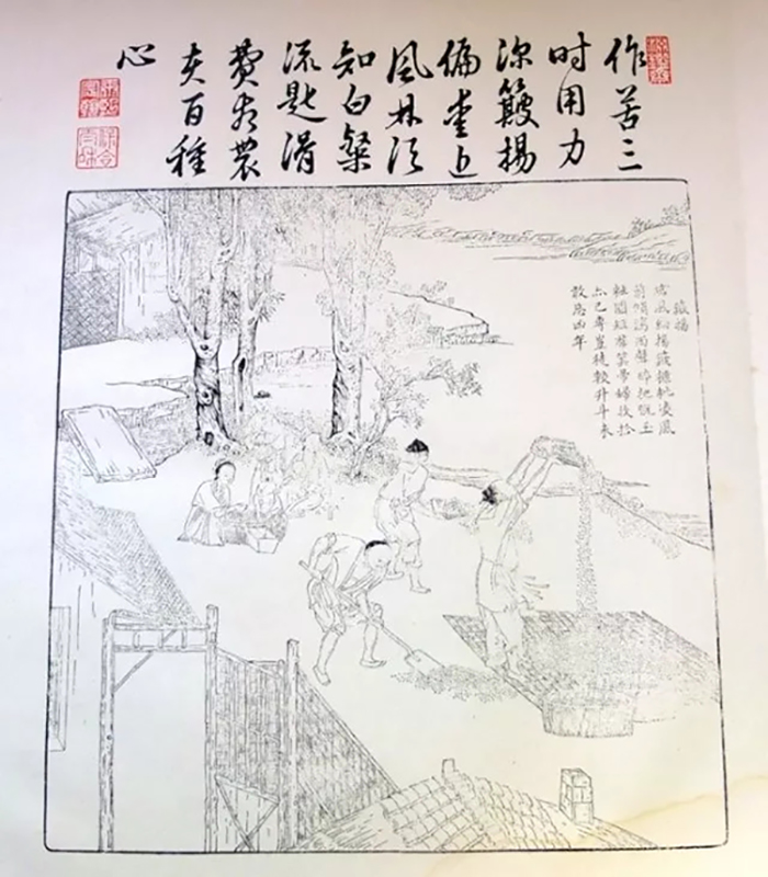 盤錦營田米業有限公司
