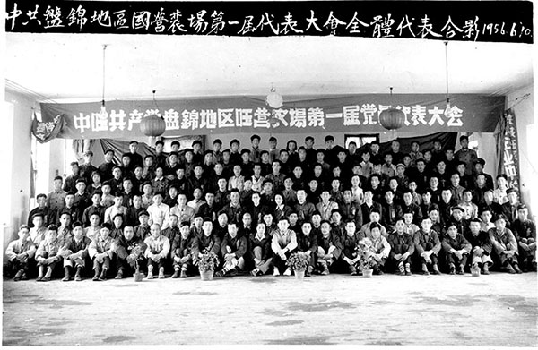 盤錦營田米業有限公司